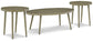 Ashley Express - Swiss Valley Outdoor Coffee Table with 2 End Tables